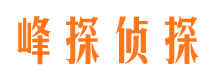 苍山寻人公司